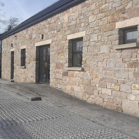 Rathgillen House Villa Nobber Екстериор снимка
